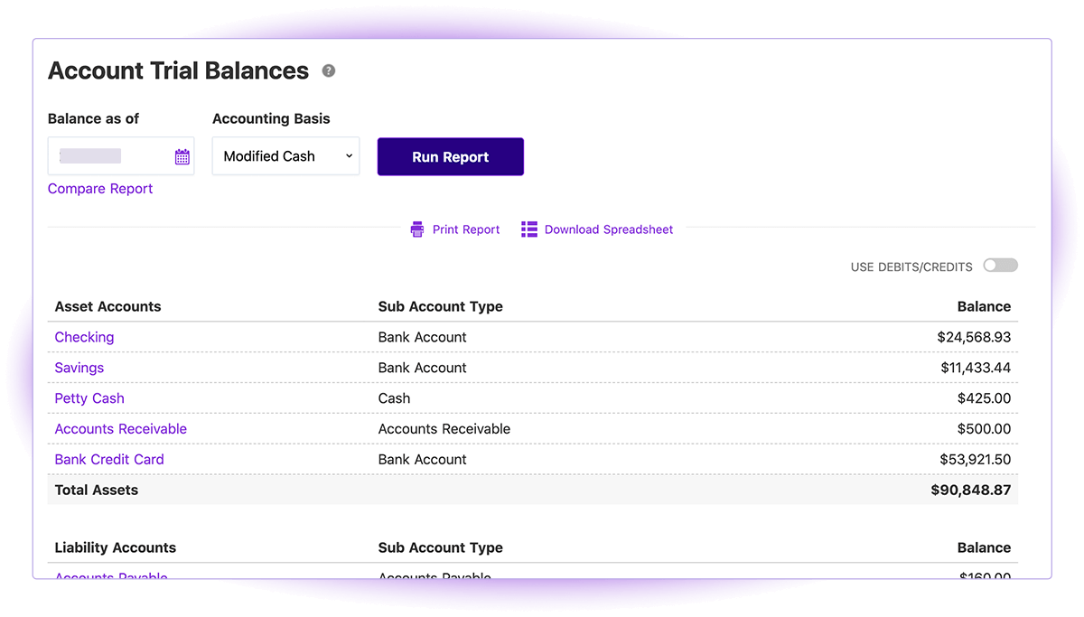 Screenshot of Patriot Software Account Trial Balances