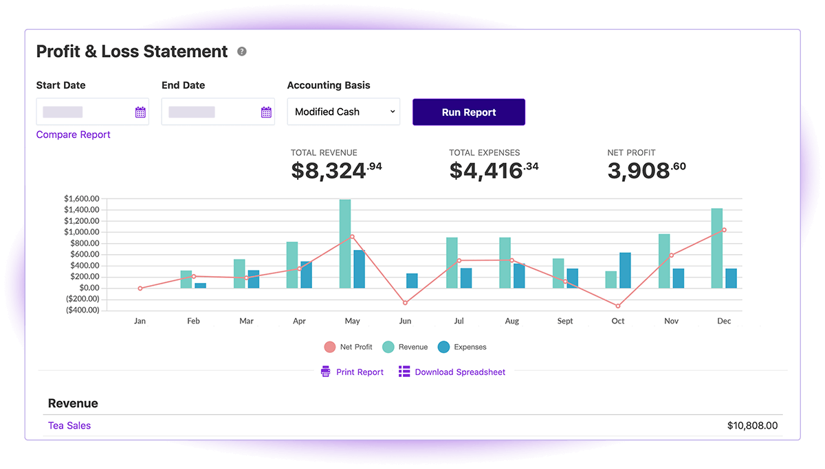 Patriot's Profit & Loss Statement report in the accounting software product.